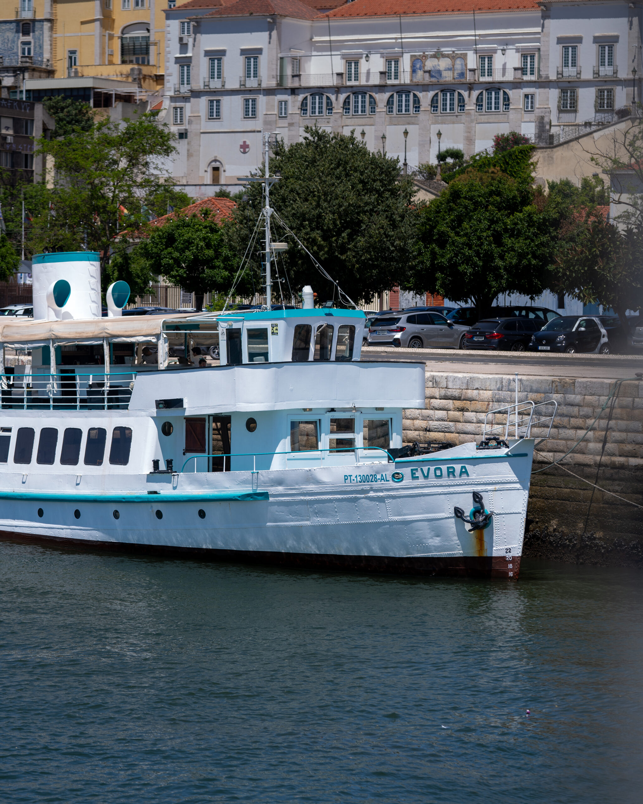 SARDINHA DO TEJO